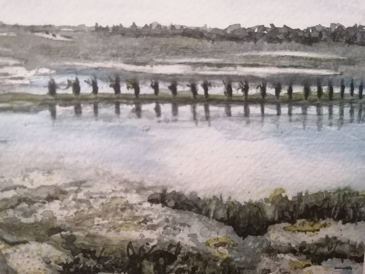Marée basse dans les parcs à Pen Bon