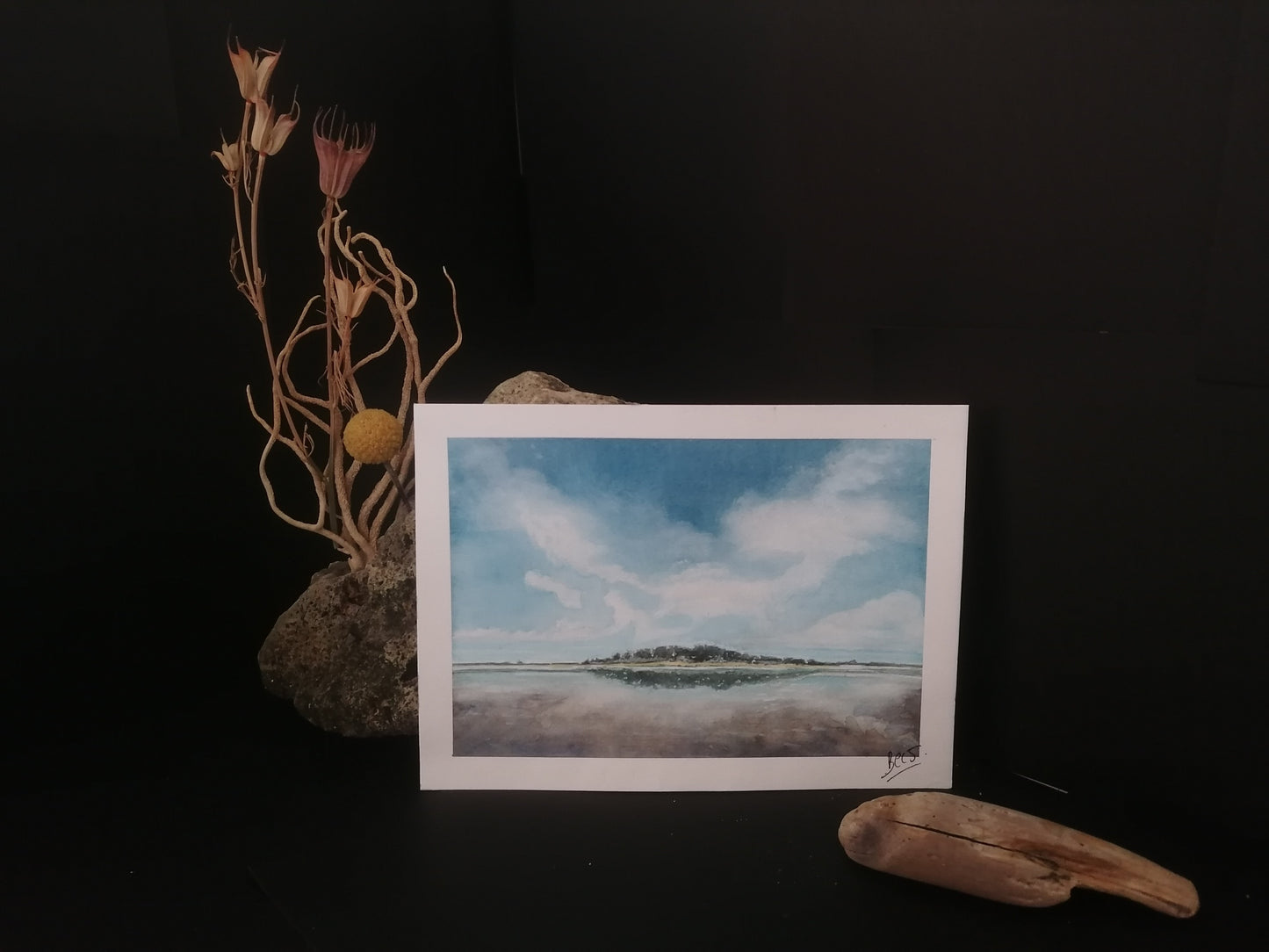 L'île de Sieck