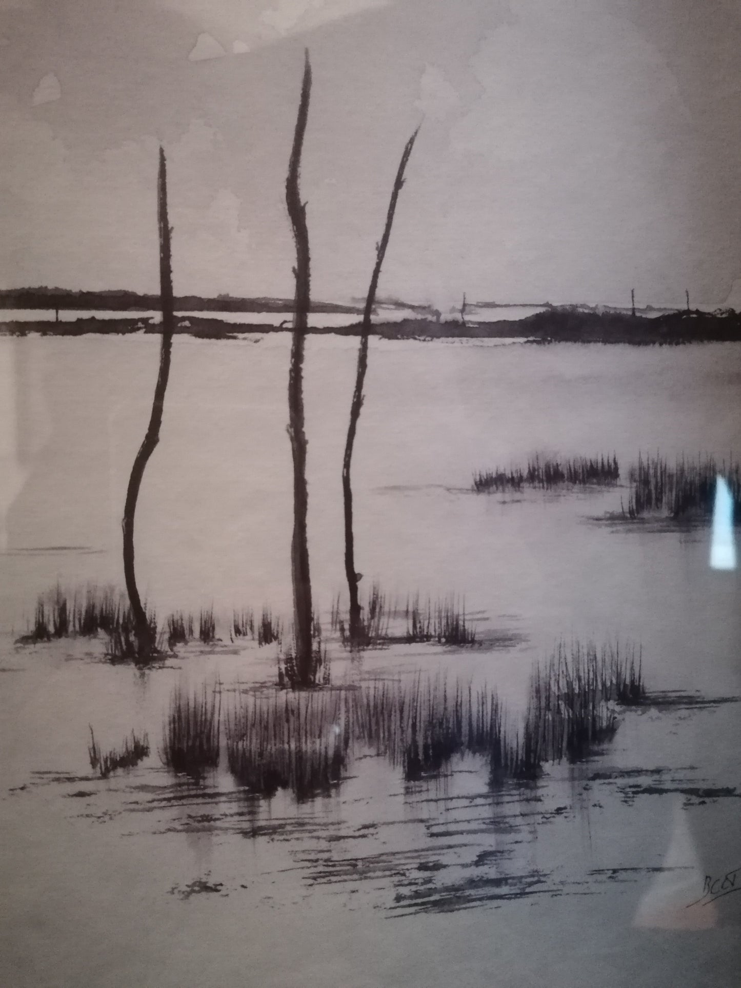 Monochrome sur les Pignots