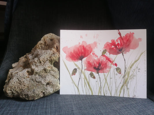 Les coquelicots du mois d'avril