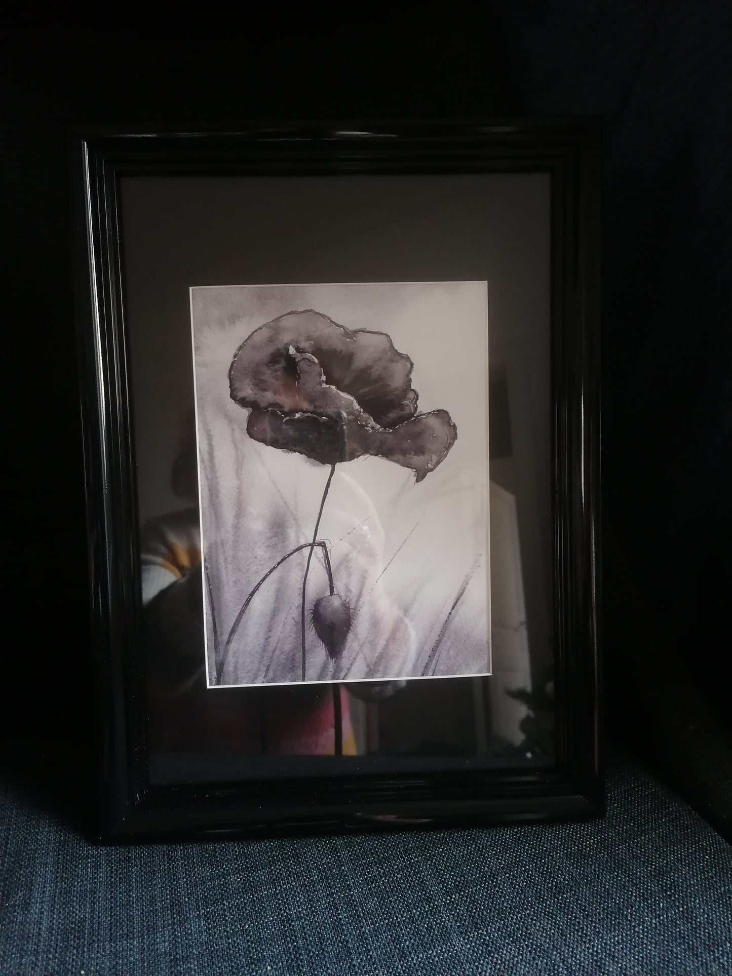 Le coquelicot de mai
