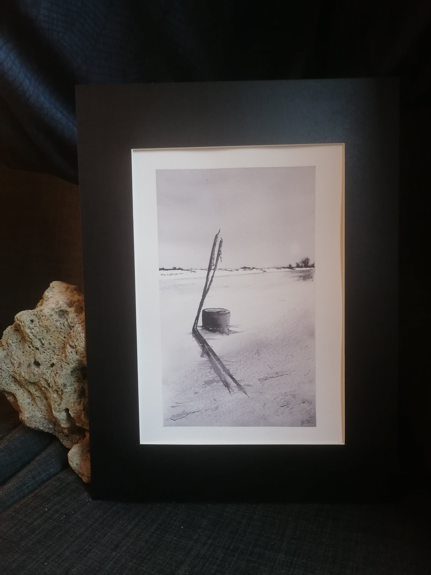 Les Pignots du cap ferret en monochrome