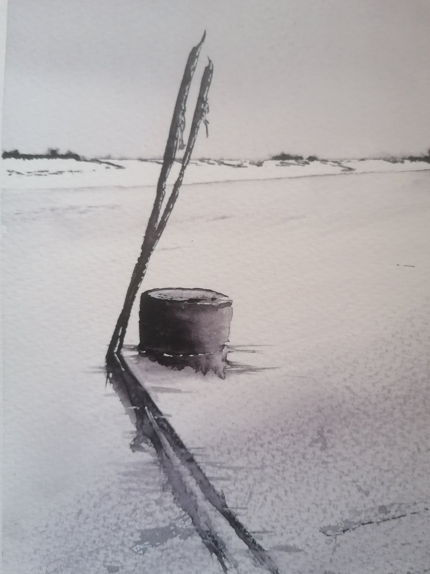 Les Pignots du cap ferret en monochrome