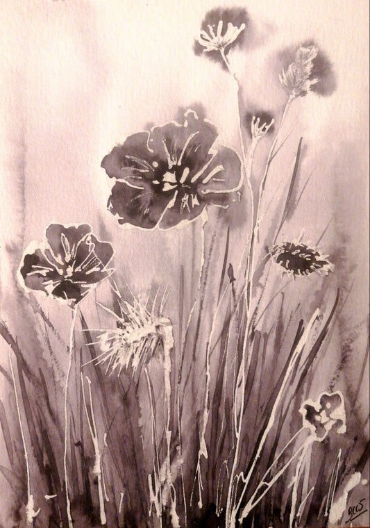 Le coquelicot en négatif