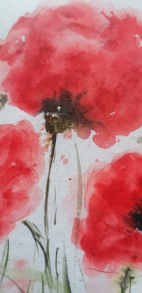 Coup de vent dans les coquelicots