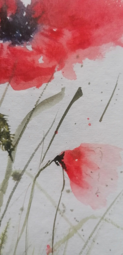 Coup de vent dans les coquelicots