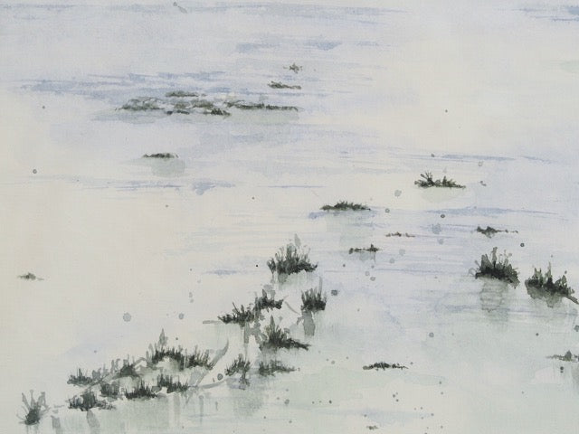 Matin serein face à la mer