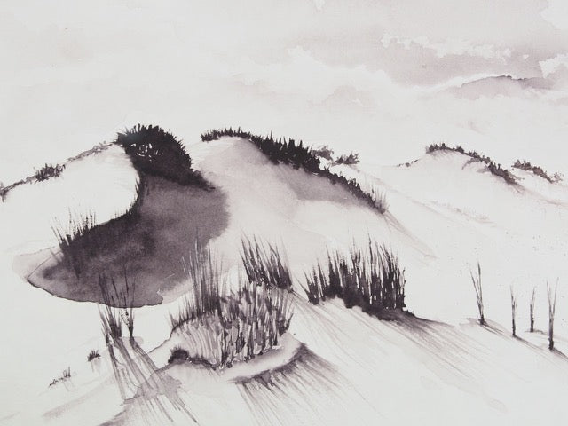 Monochrome dans les dunes