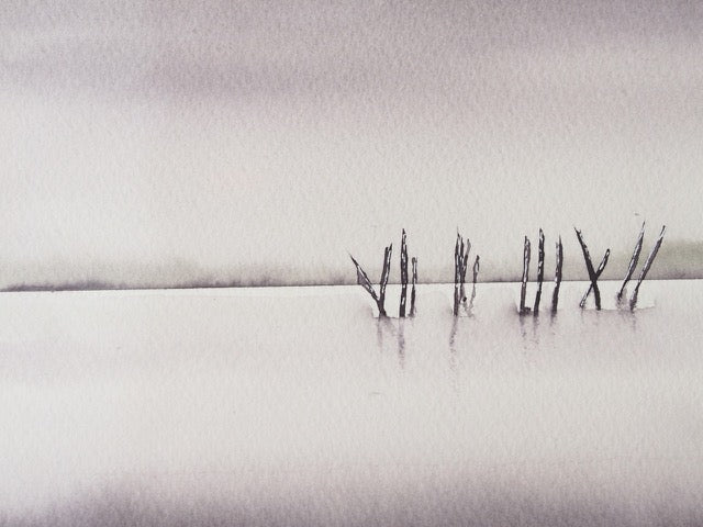 Les Pignots dans le brouillard
