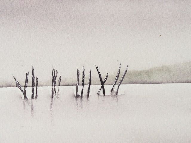 Les Pignots dans le brouillard