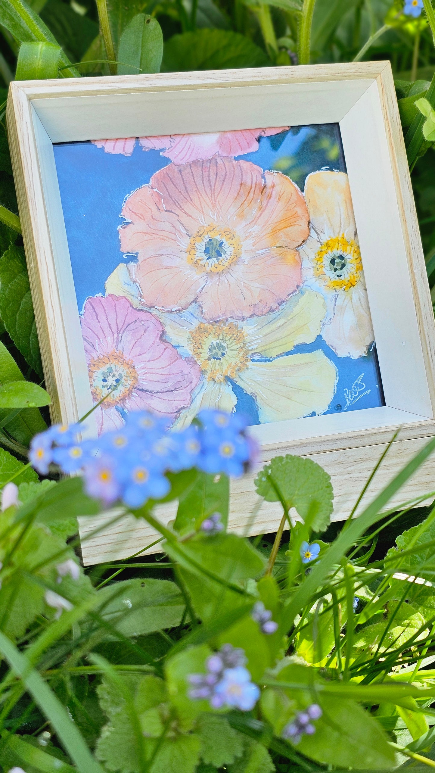 Flower power n °12