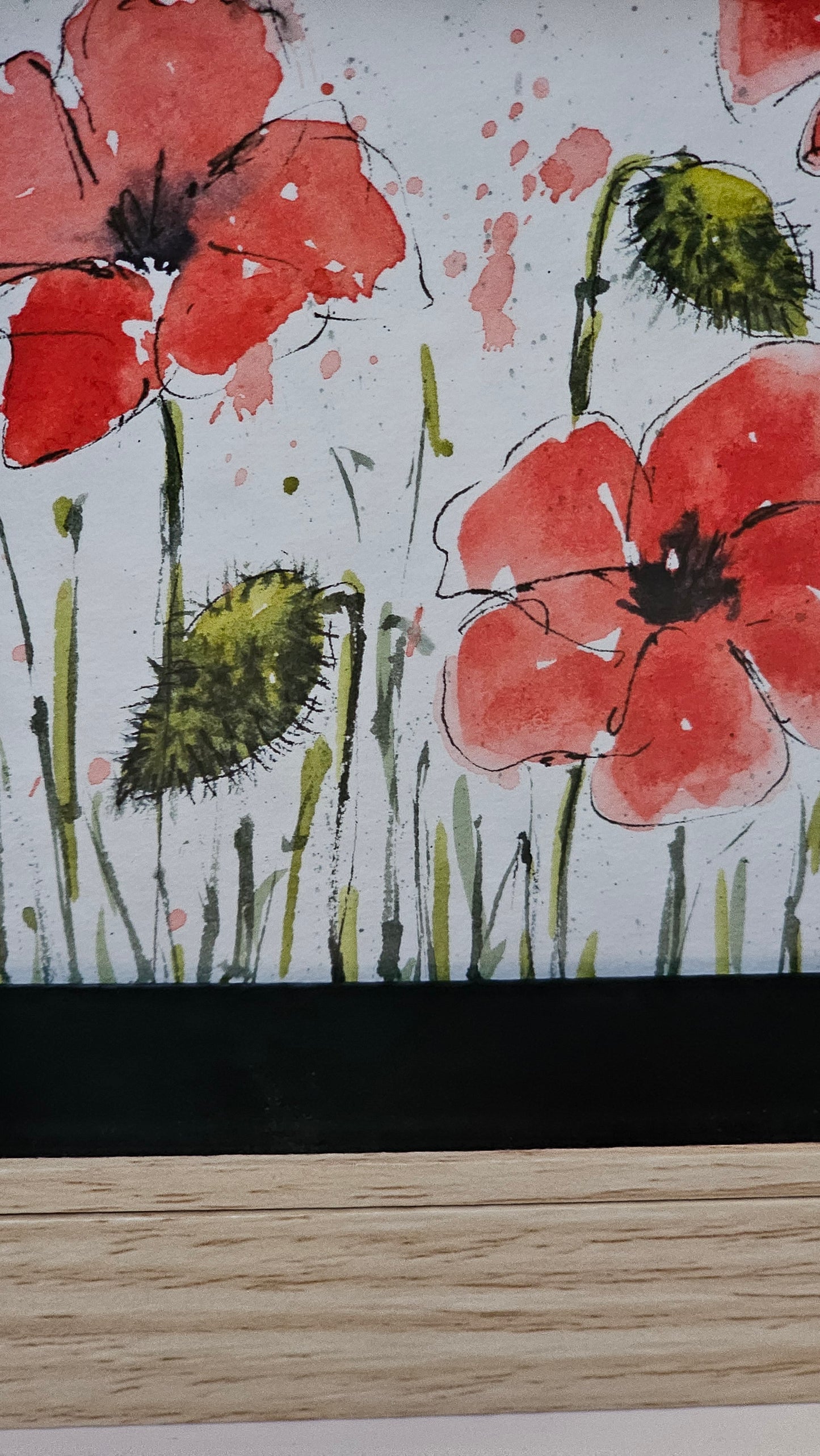 Coquelicots