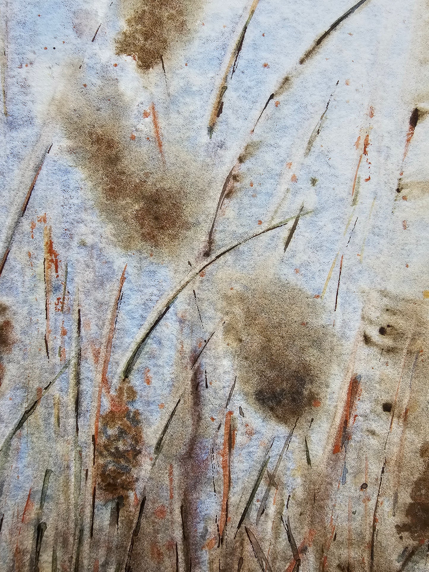 HIVER VEGETAL : UNE BEAUTE ENDORMIE N°5