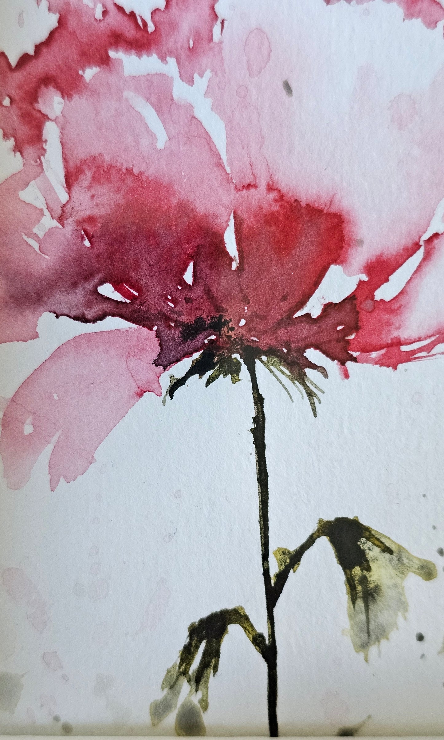 Une petite fleur rose