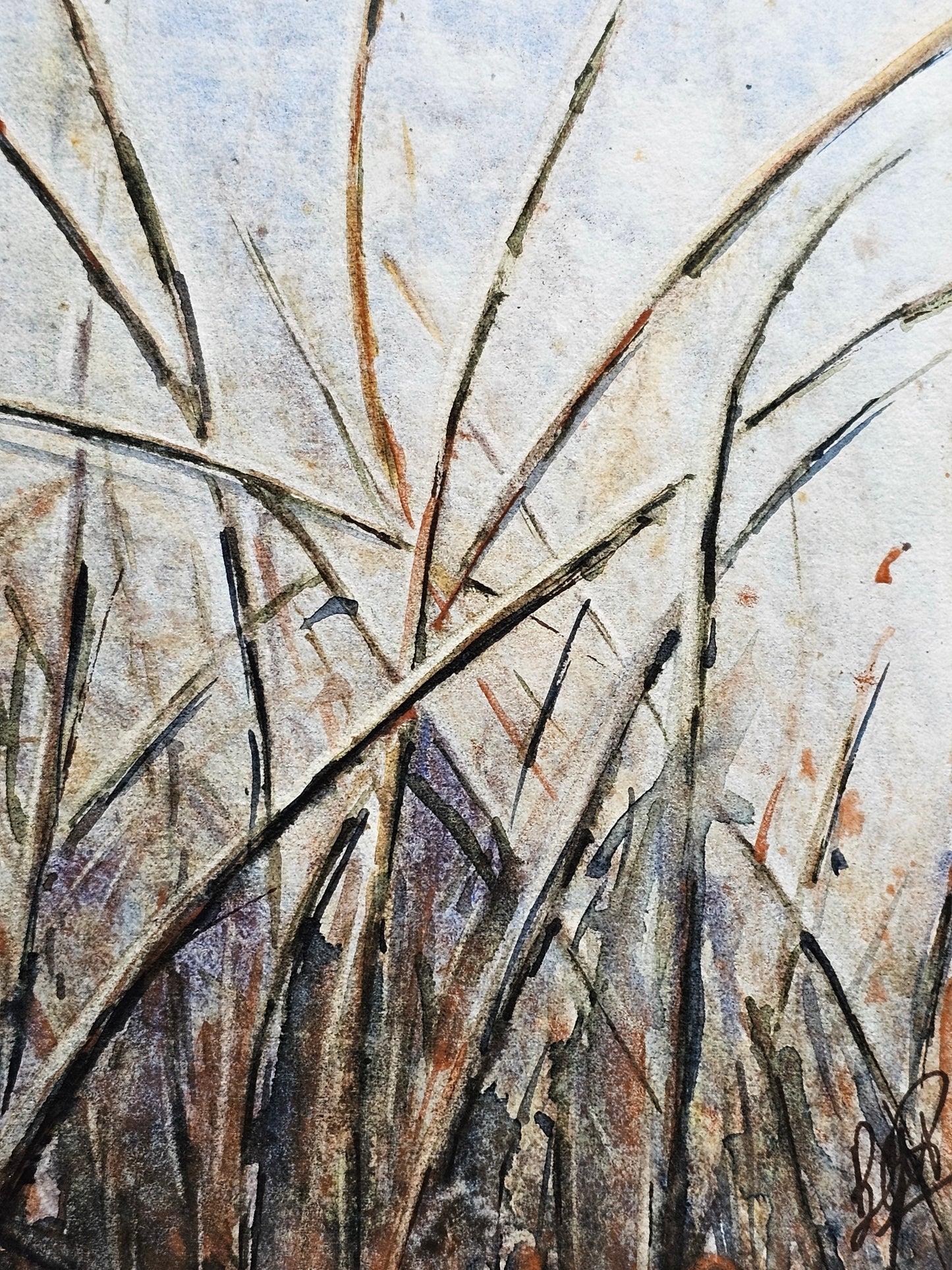 HIVER VEGETAL : UNE BEAUTE ENDORMIE N°4