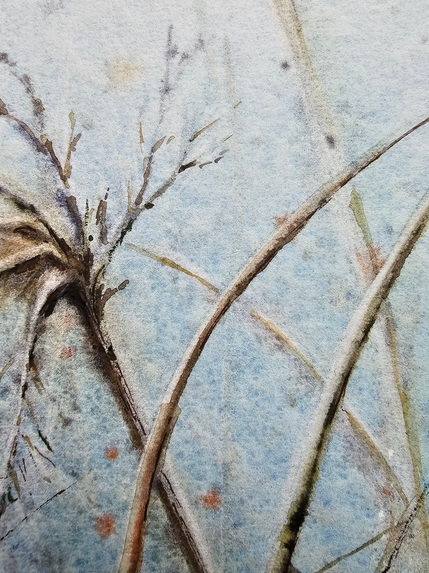 HIVER VEGETAL : UNE BEAUTE ENDORMIE N°3