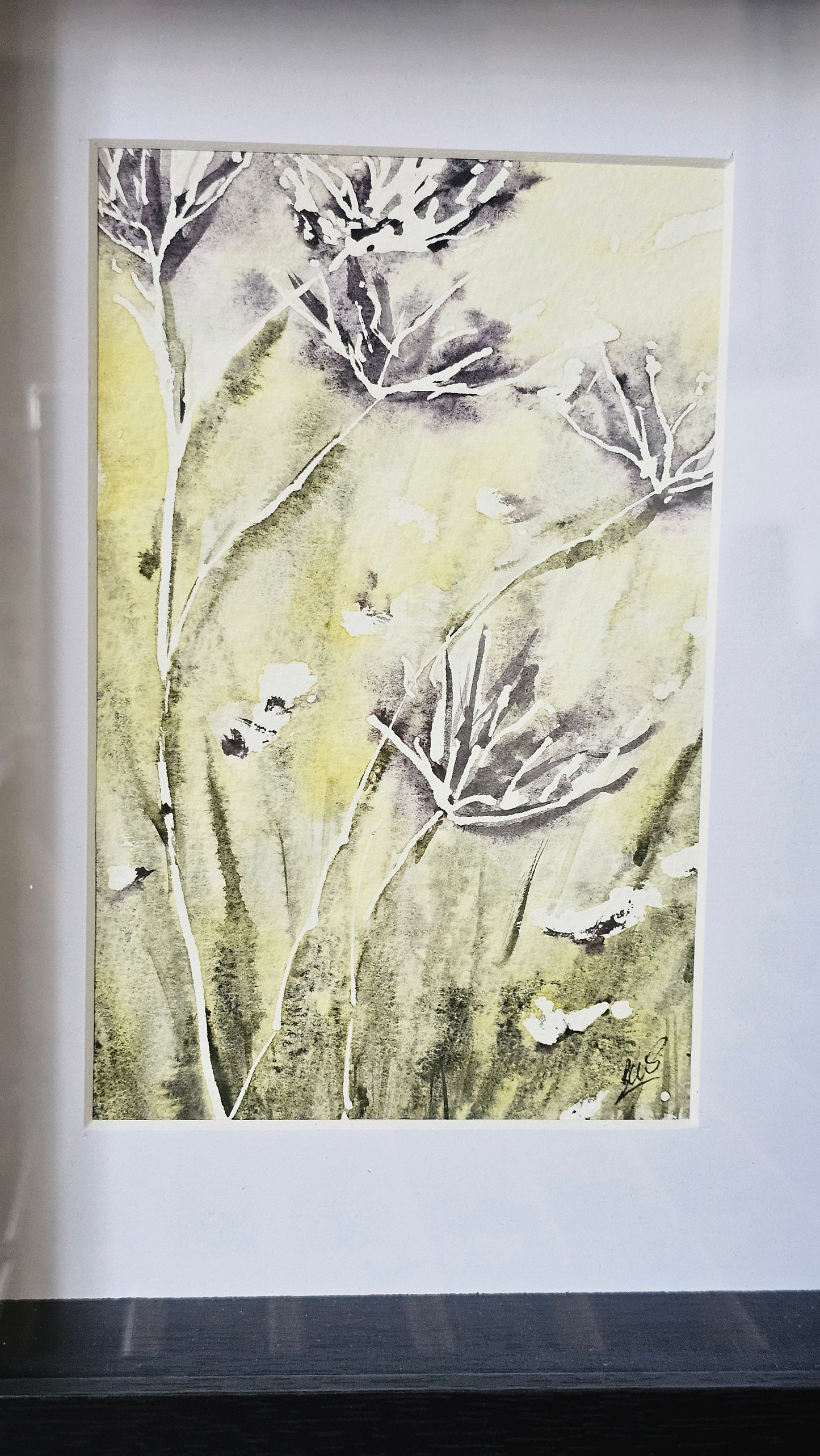 Fleurs des champs en négatif