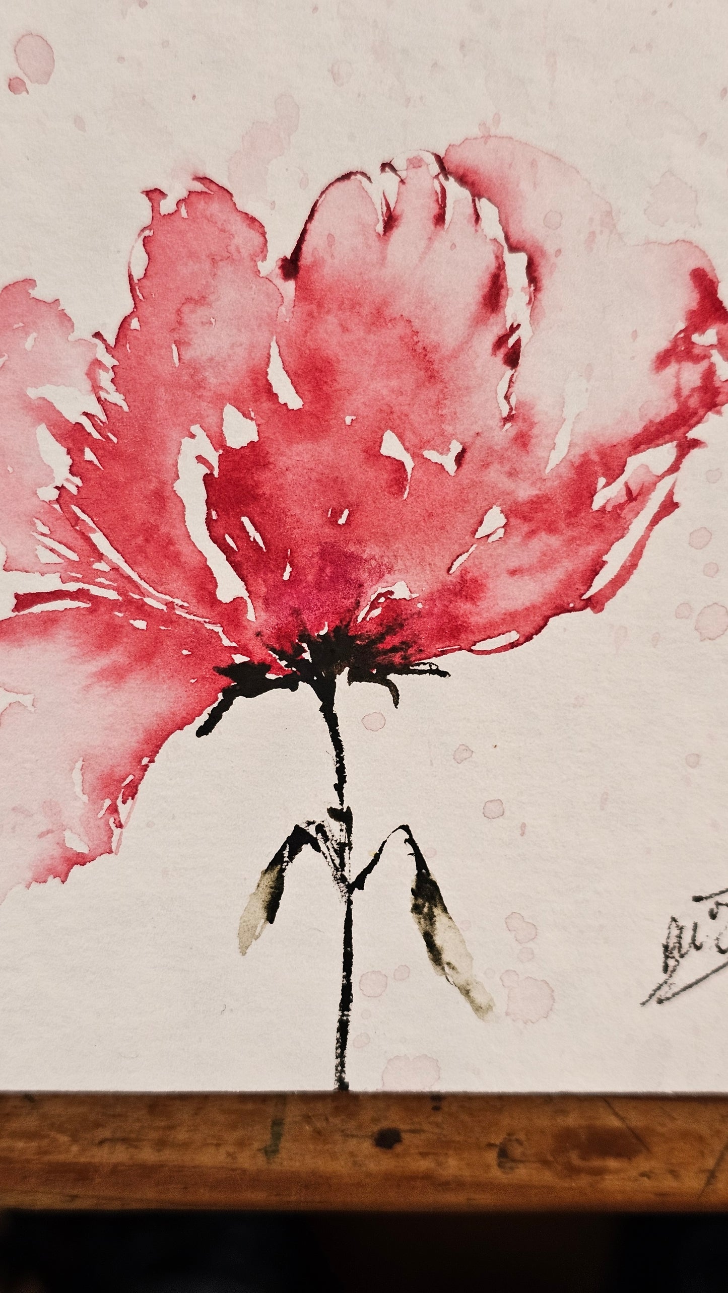 La douceur du rose