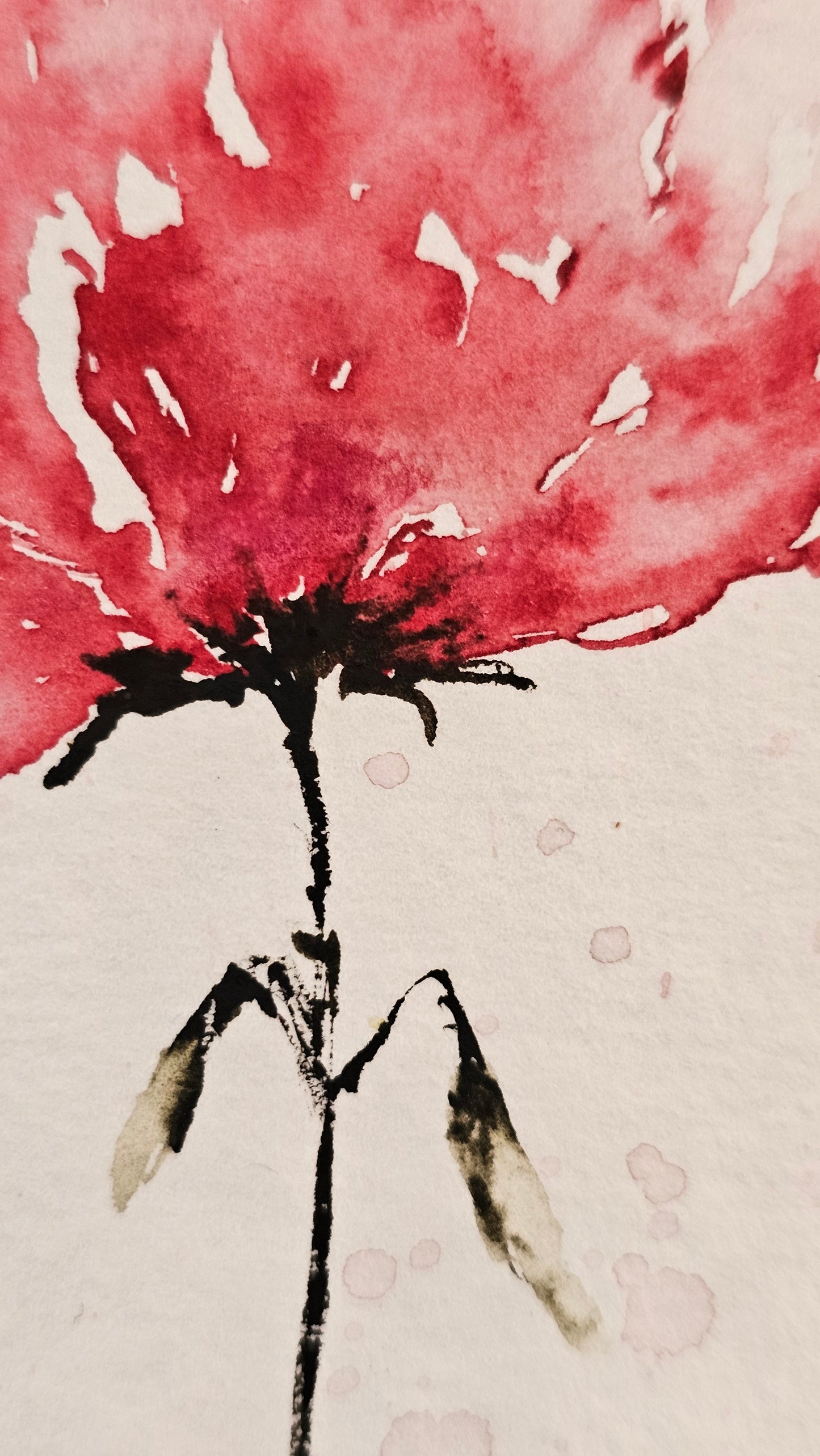 La douceur du rose