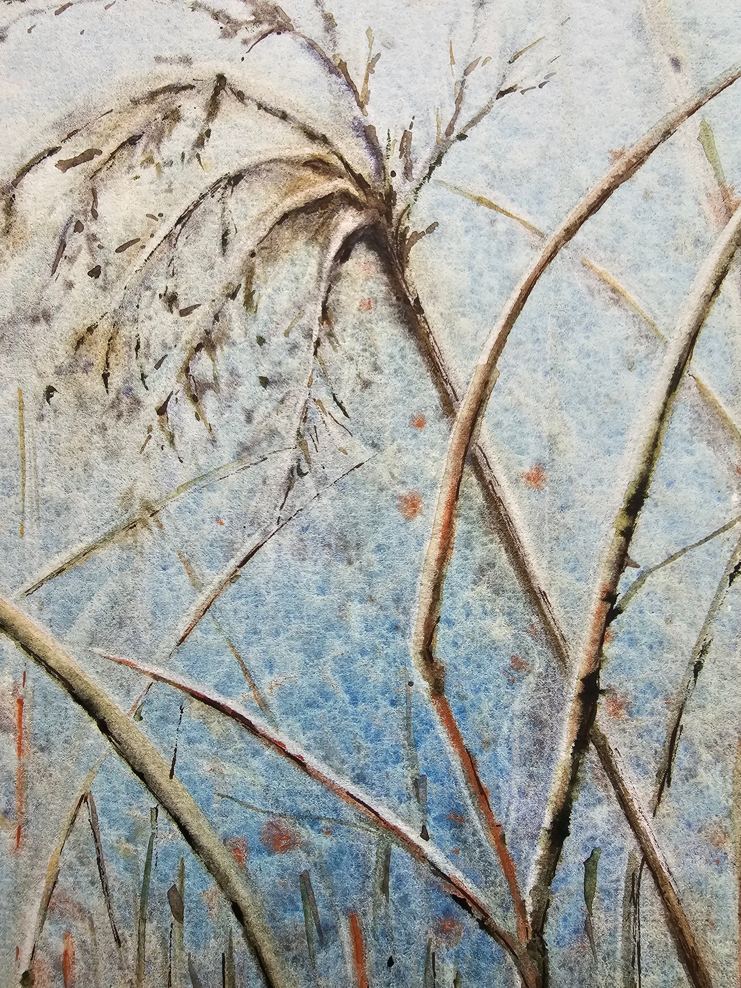 HIVER VEGETAL : UNE BEAUTE ENDORMIE N°3