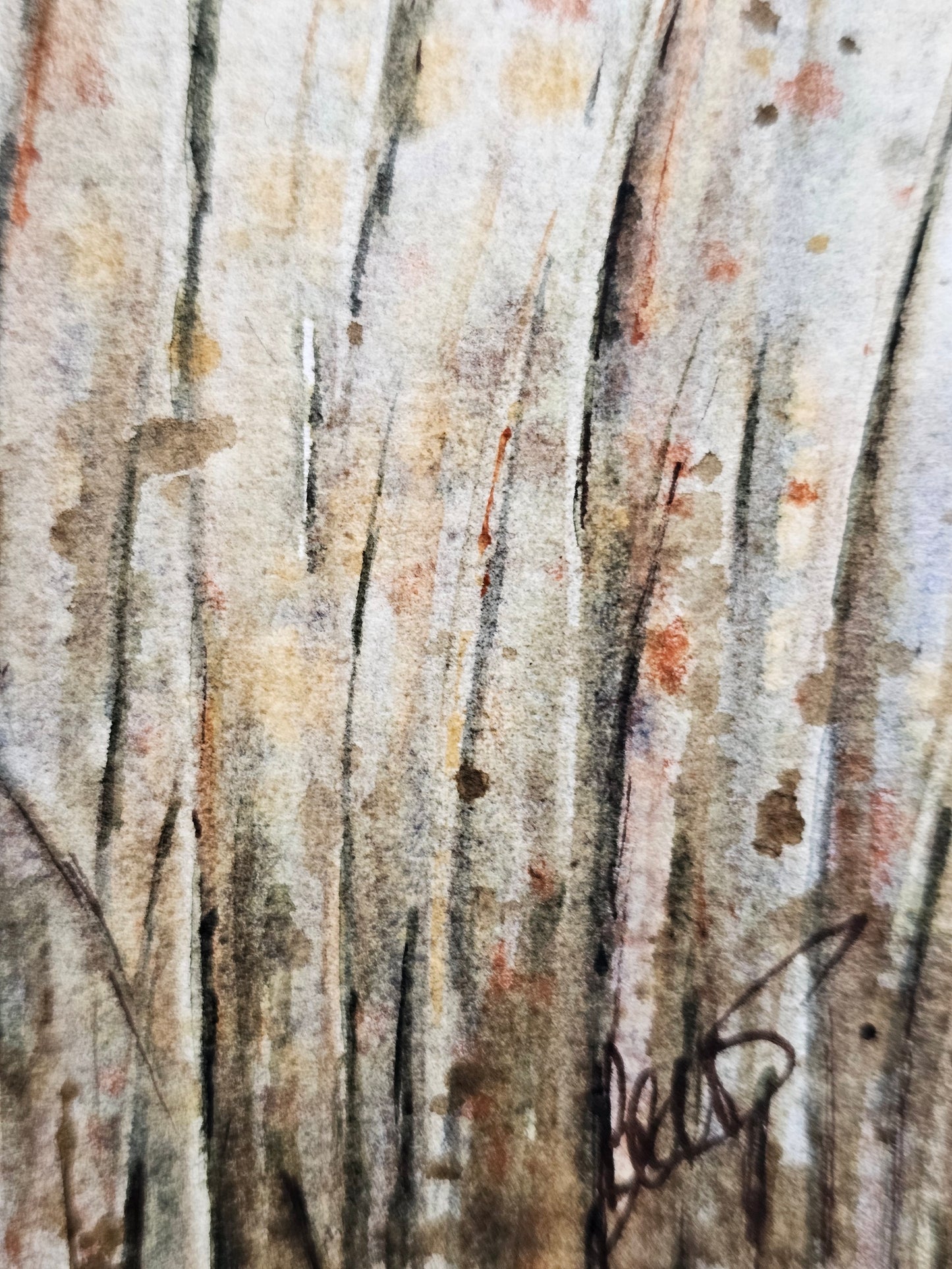 HIVER VEGETAL : UNE BEAUTE ENDORMIE N°2