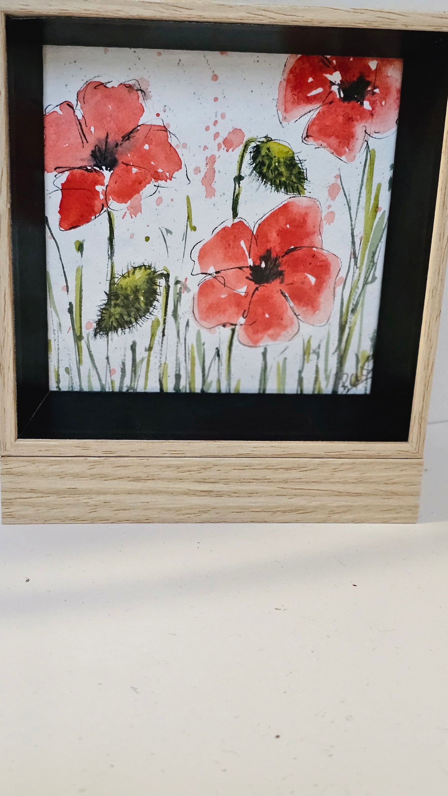 Coquelicots