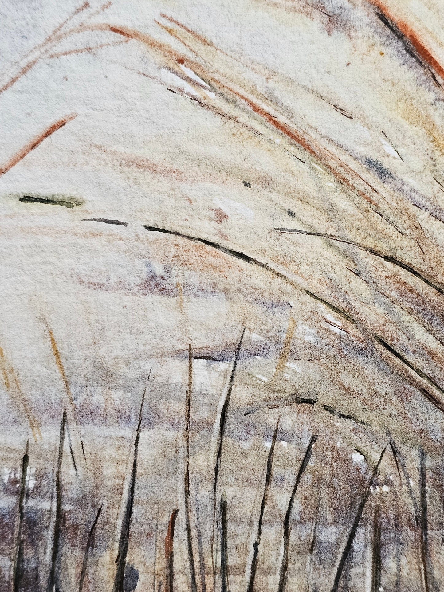HIVER VEGETAL : UNE BEAUTE ENDORMIE N°1