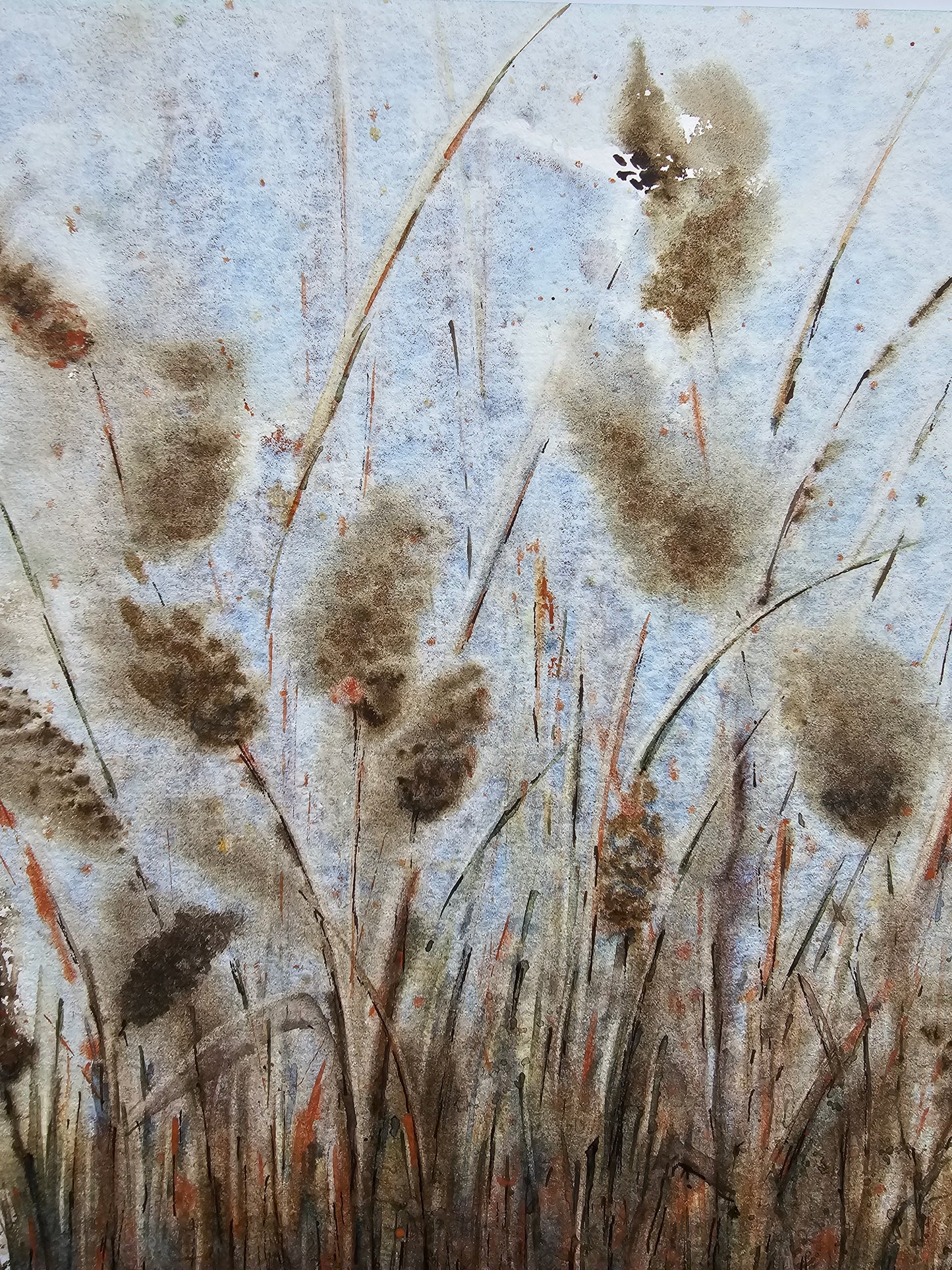 HIVER VEGETAL : UNE BEAUTE ENDORMIE N°5