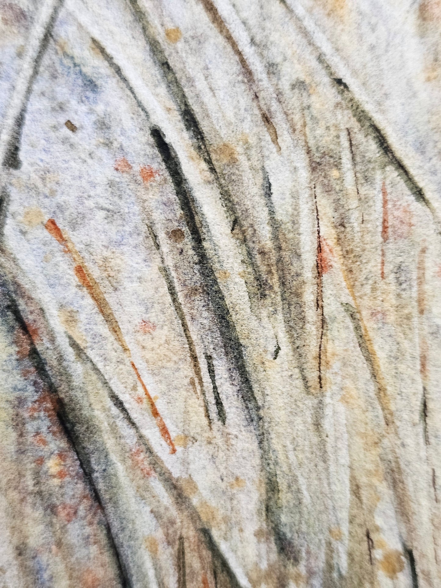 HIVER VEGETAL : UNE BEAUTE ENDORMIE N°2