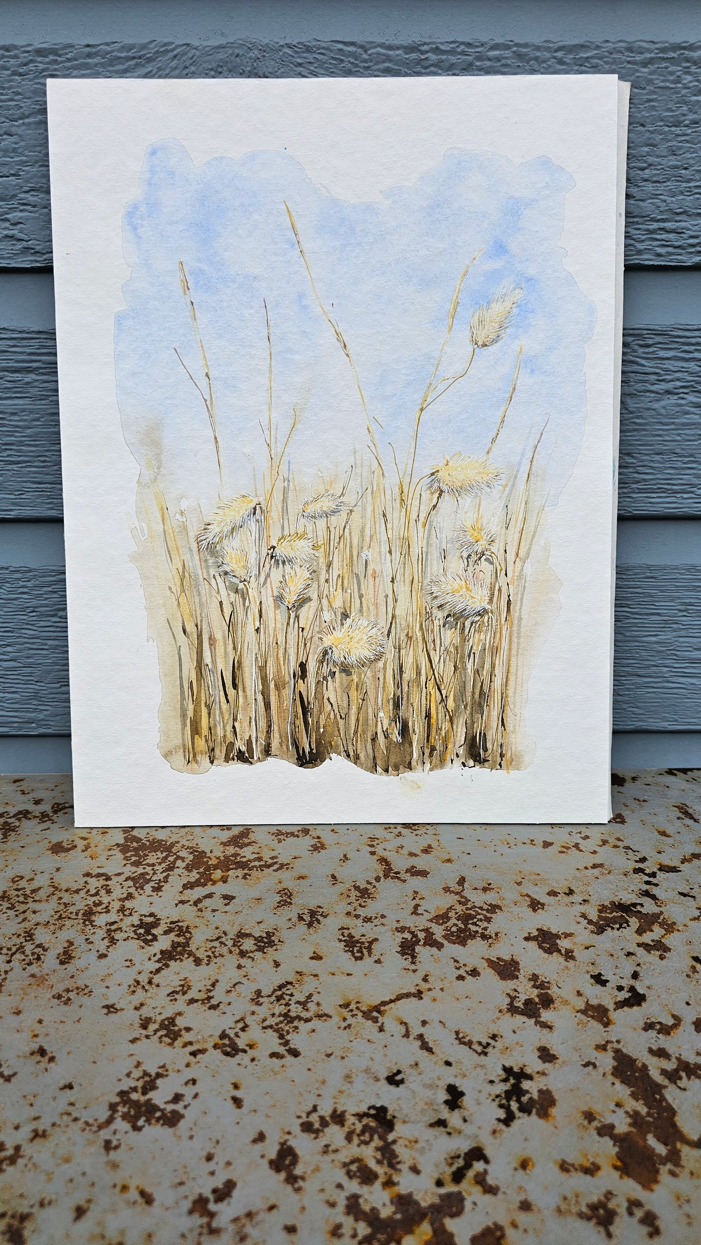 Les chatons à Pen Bron