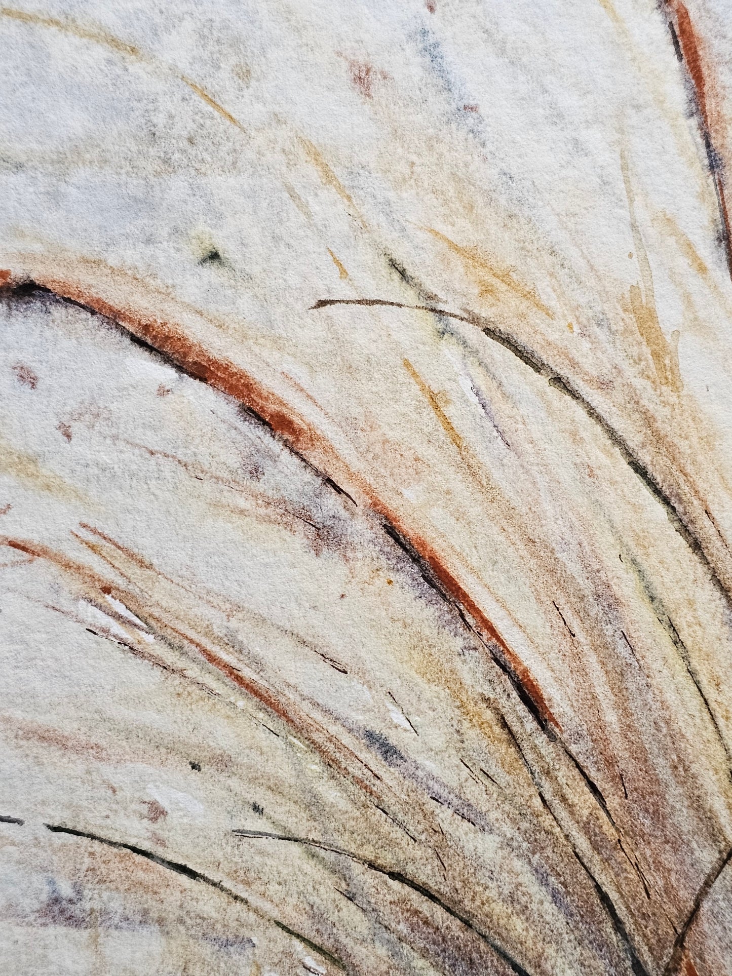 HIVER VEGETAL : UNE BEAUTE ENDORMIE N°1