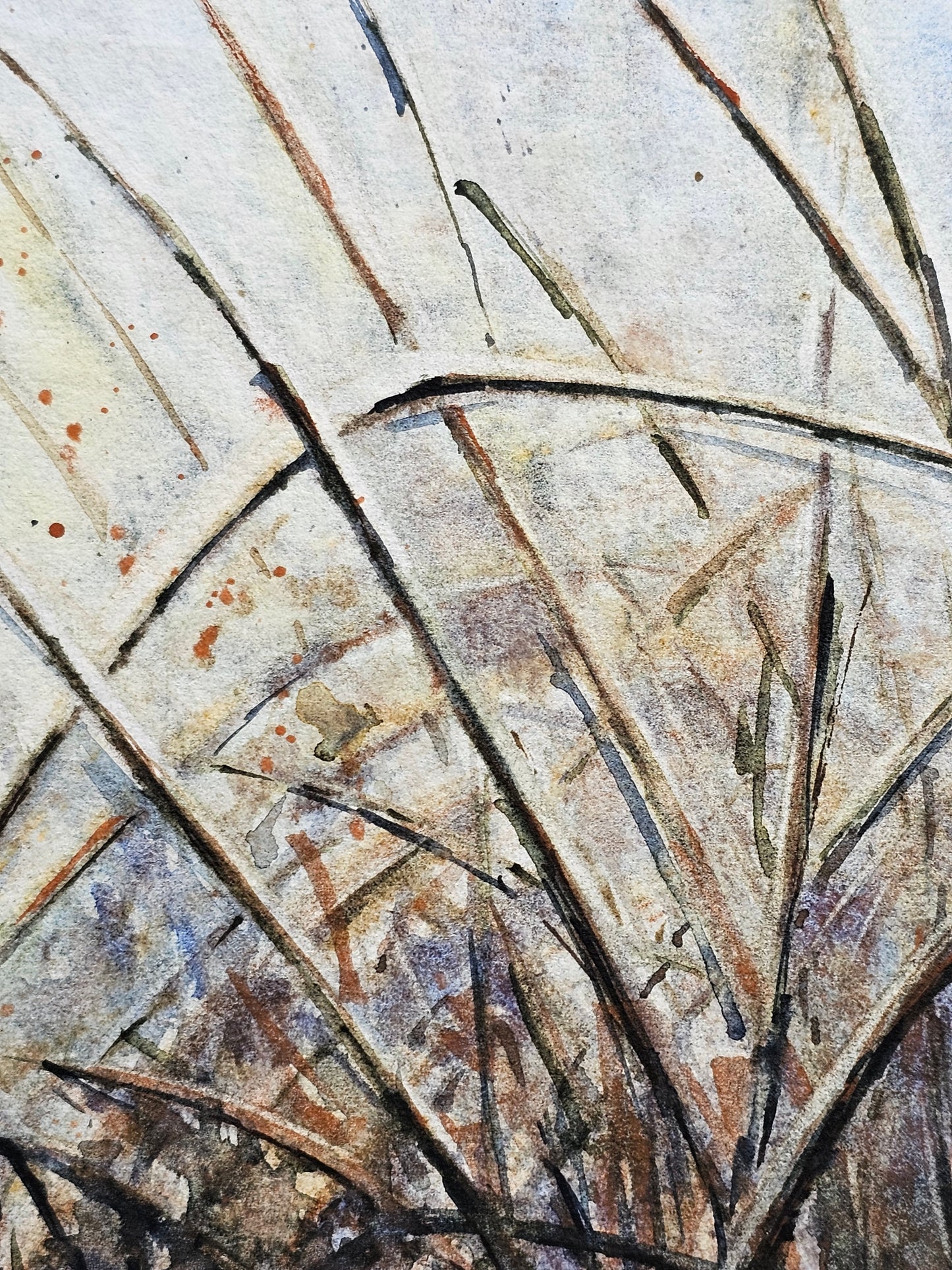HIVER VEGETAL : UNE BEAUTE ENDORMIE N°4