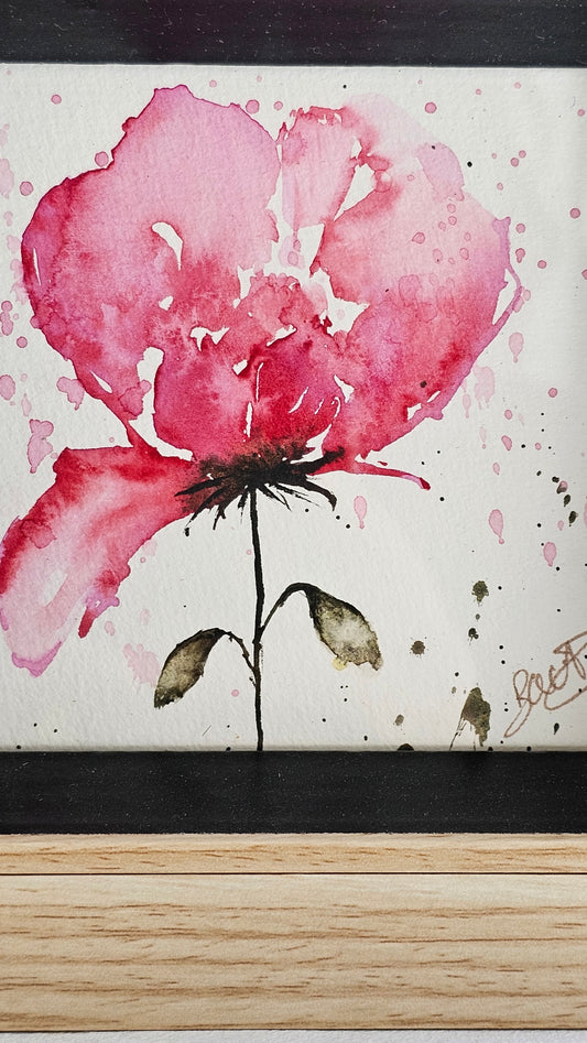 La petite rose