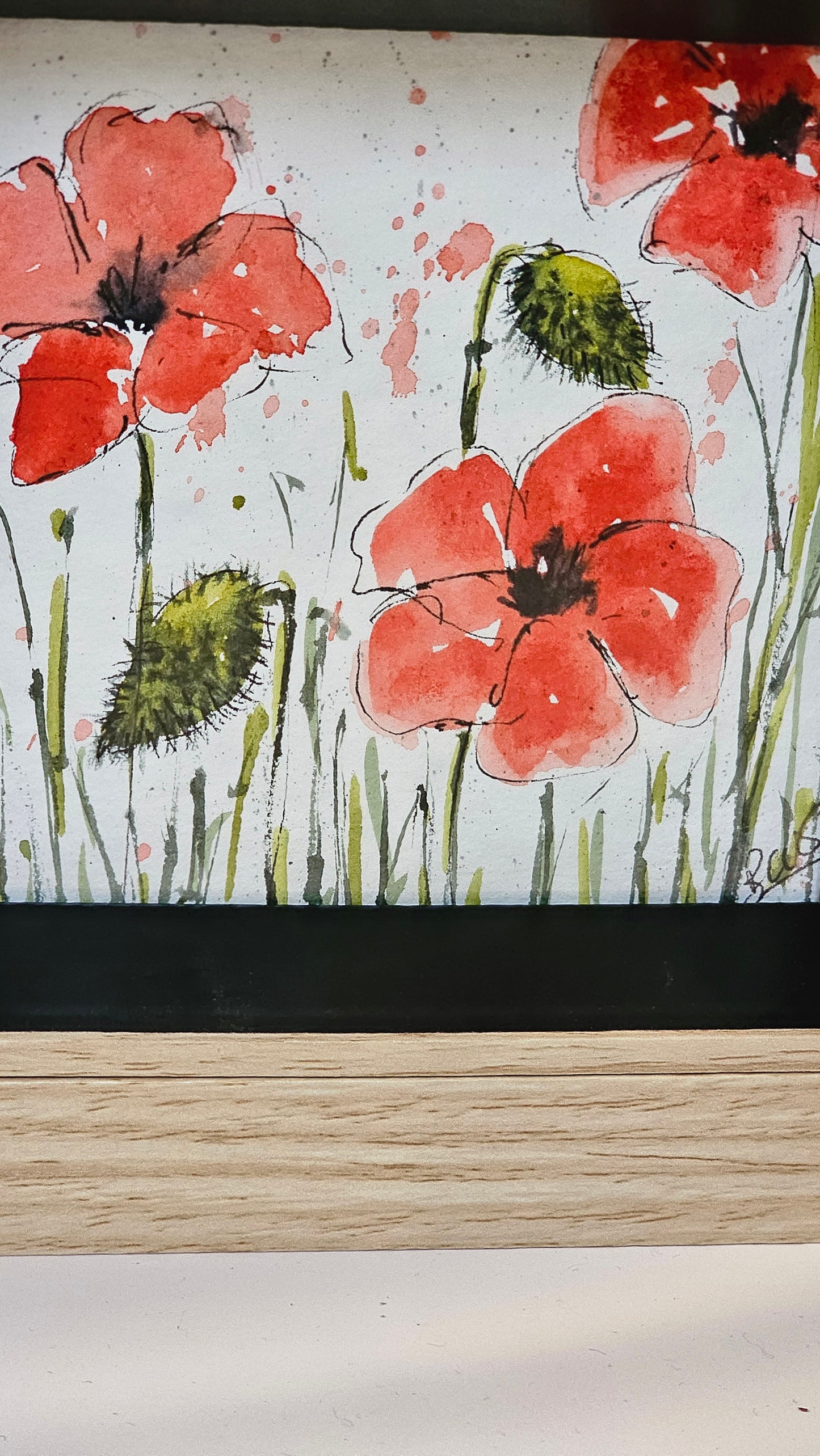Coquelicots