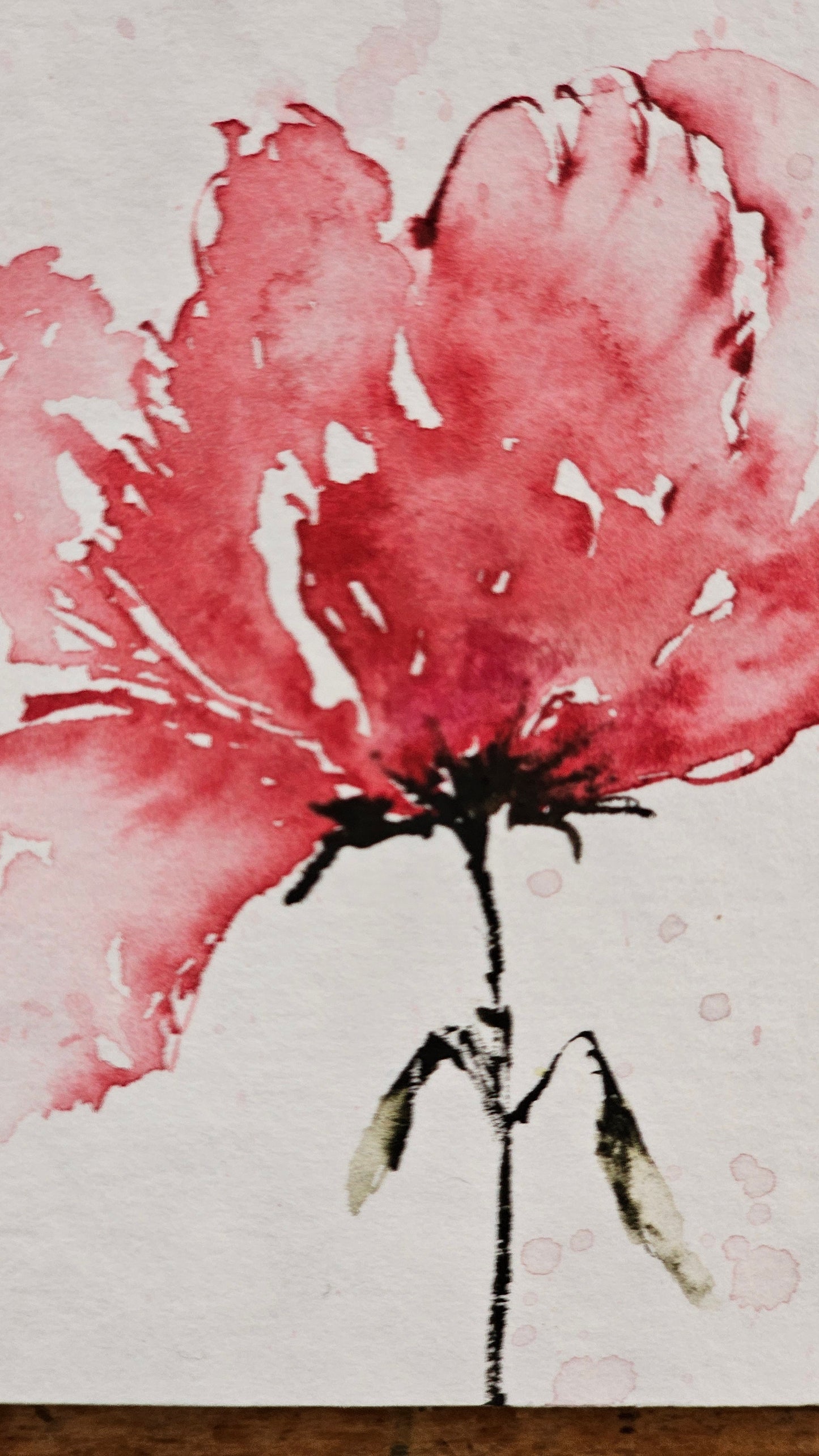La douceur du rose