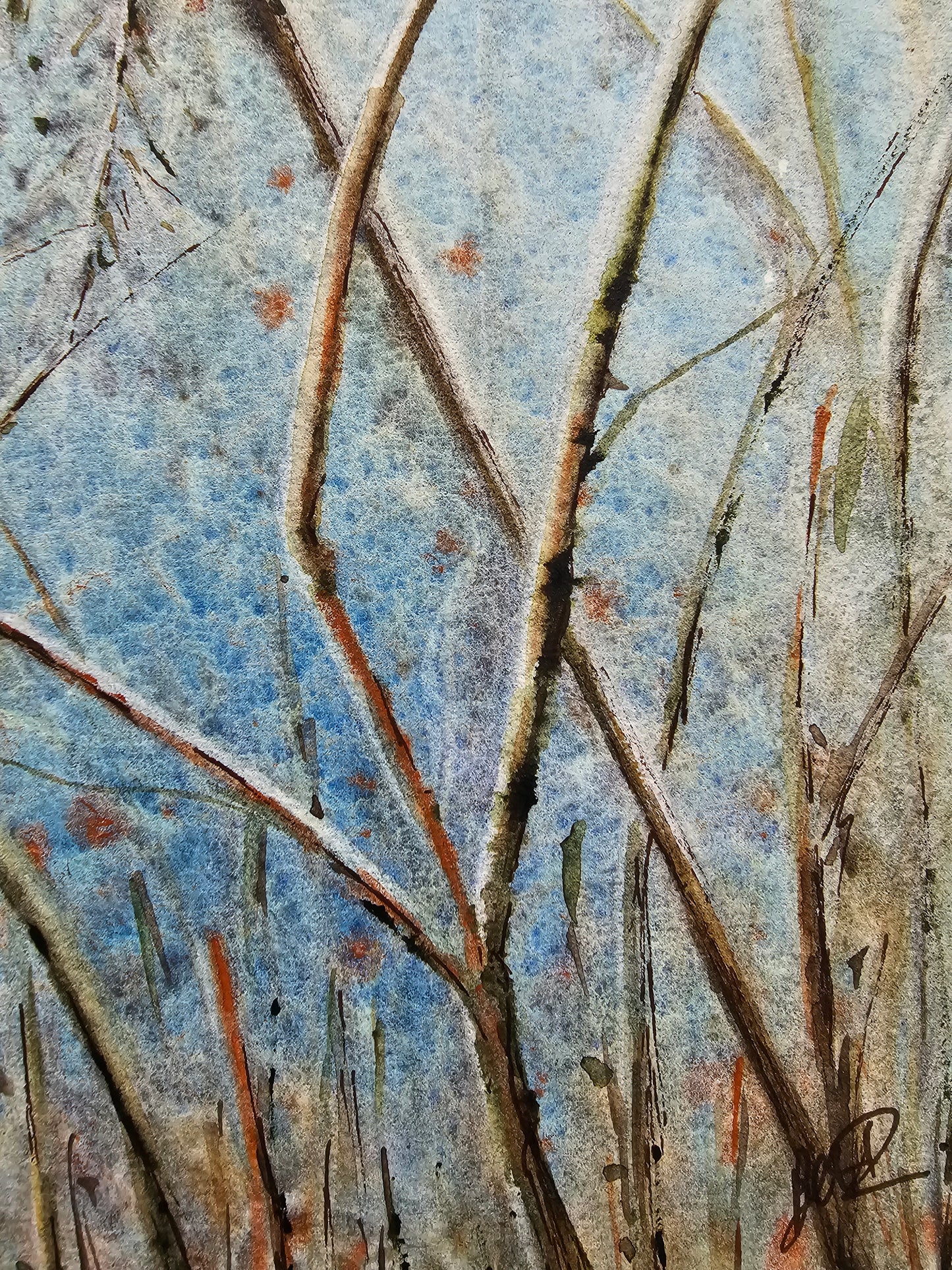 HIVER VEGETAL : UNE BEAUTE ENDORMIE N°3