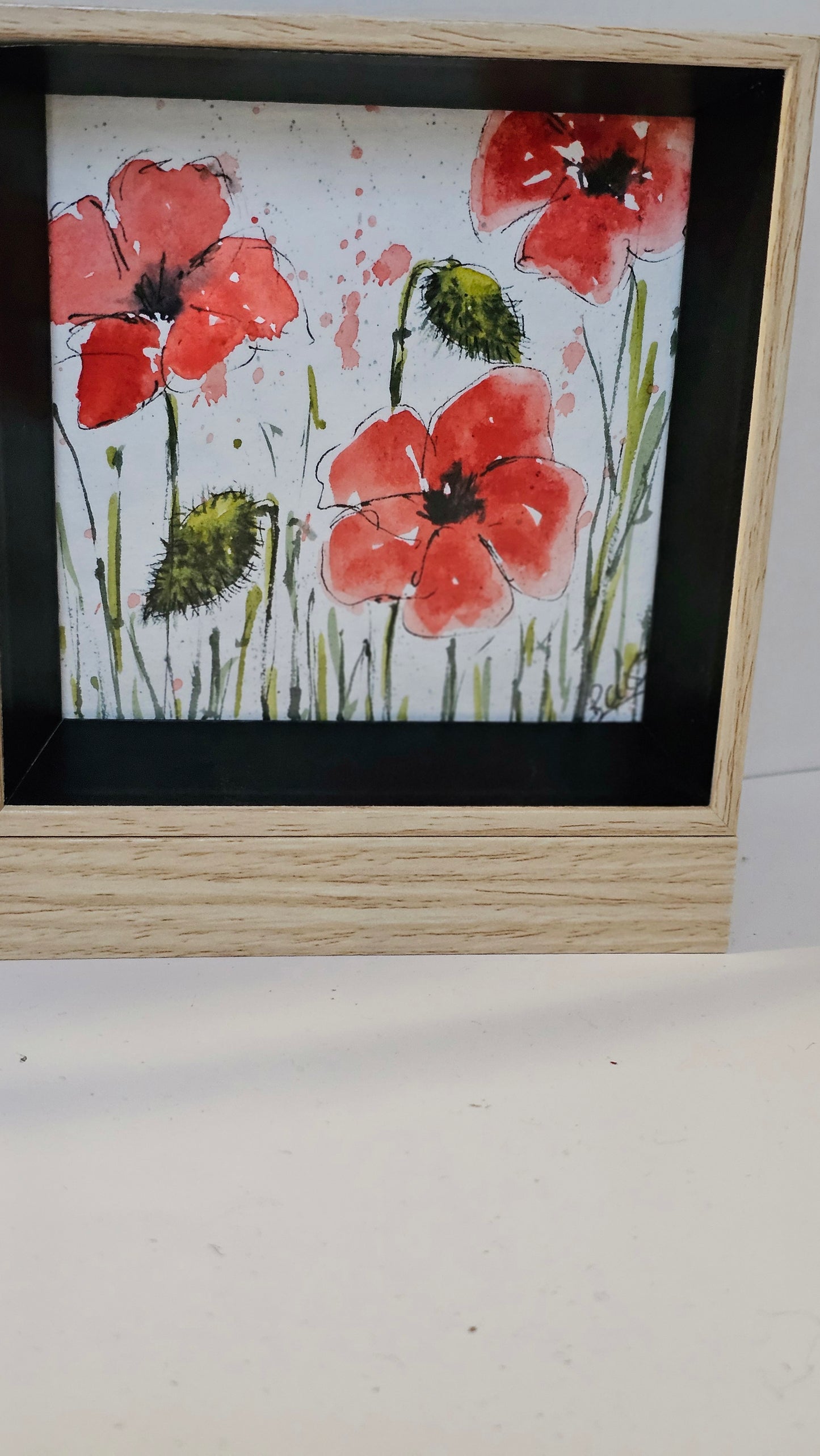 Coquelicots