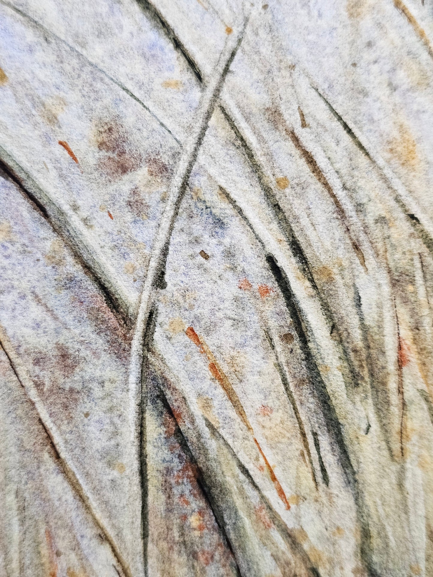 HIVER VEGETAL : UNE BEAUTE ENDORMIE N°2