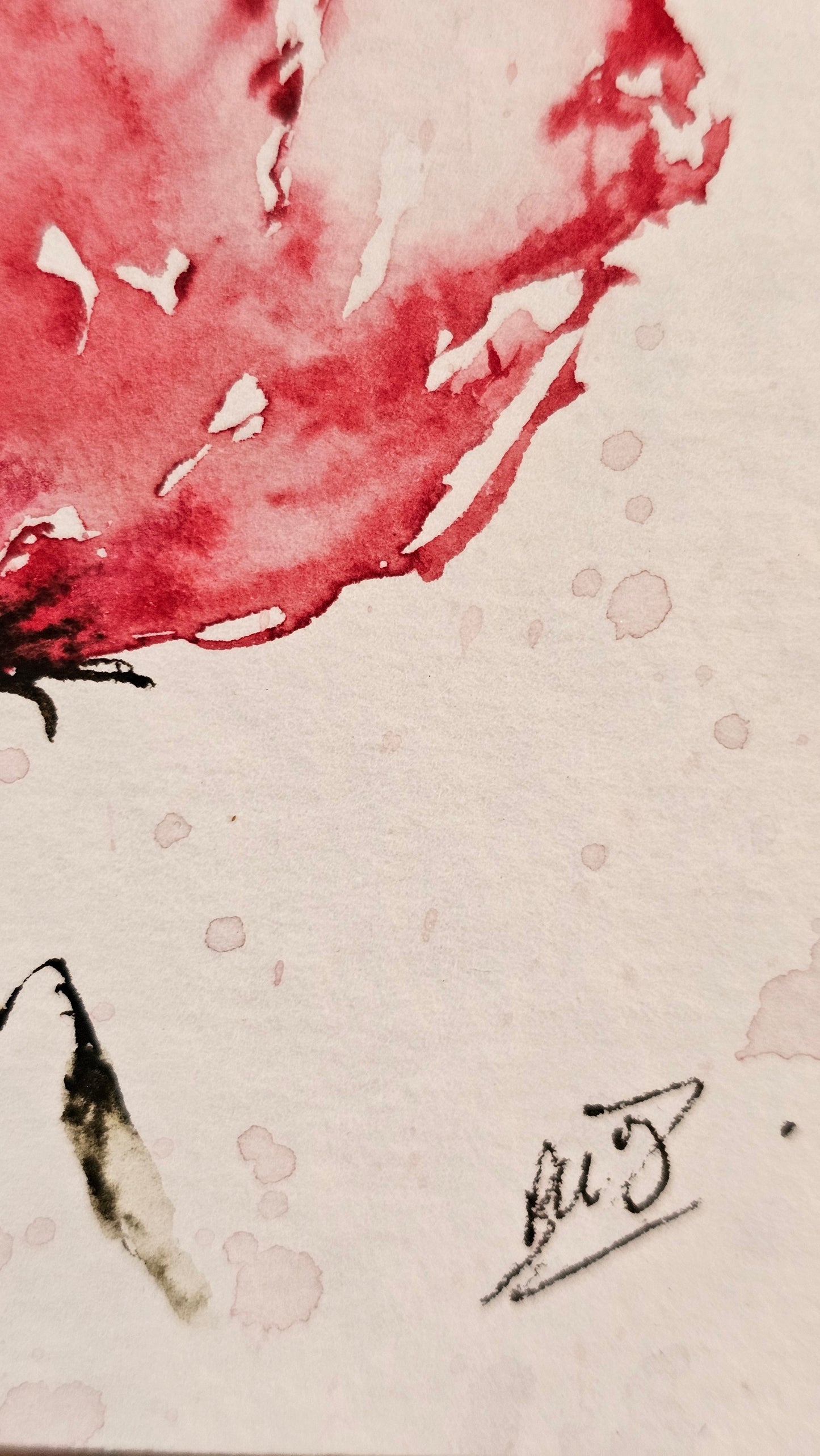 La douceur du rose