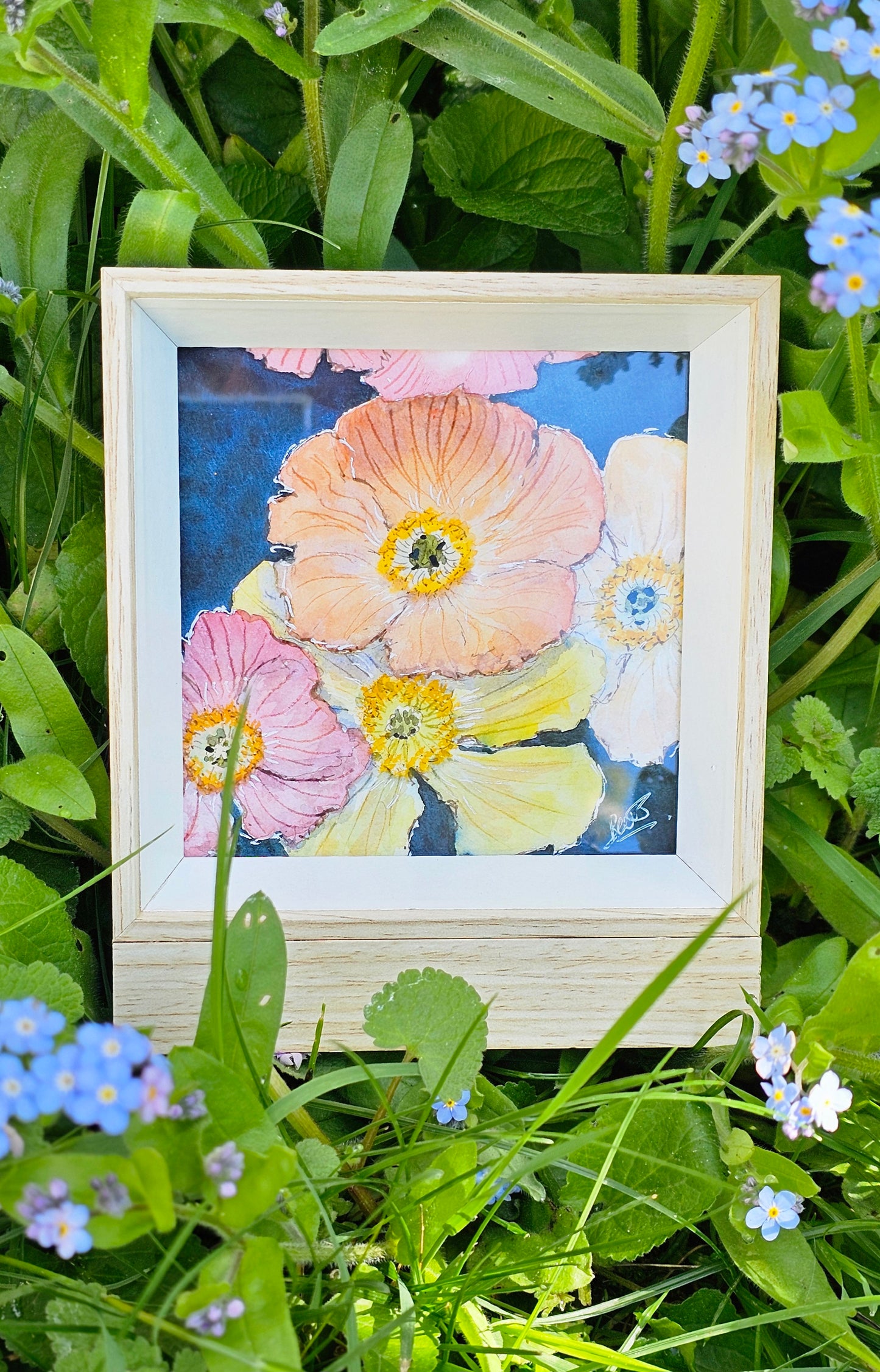 Flower power n °12