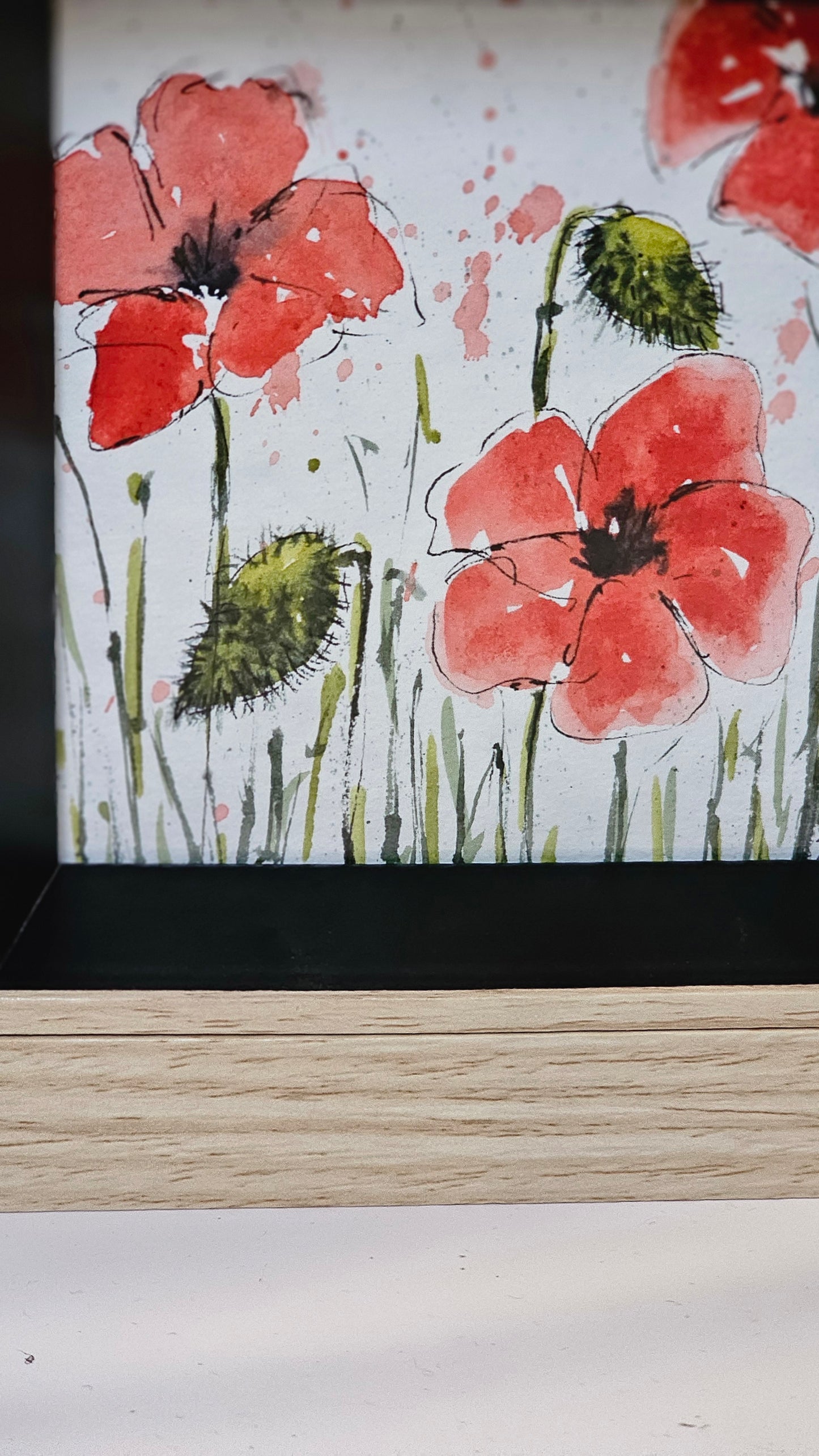 Coquelicots