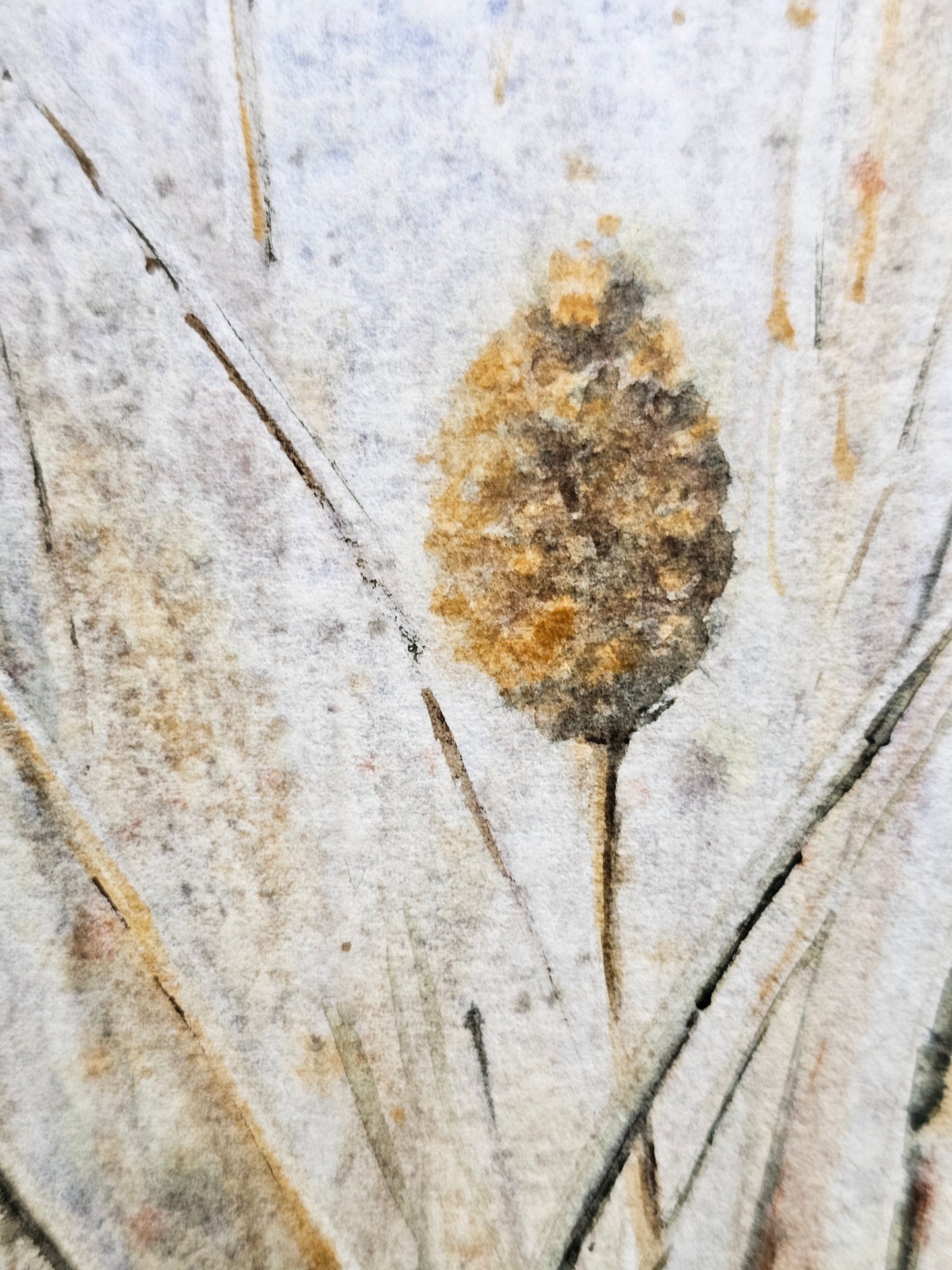 HIVER VEGETAL : UNE BEAUTE ENDORMIE N°2