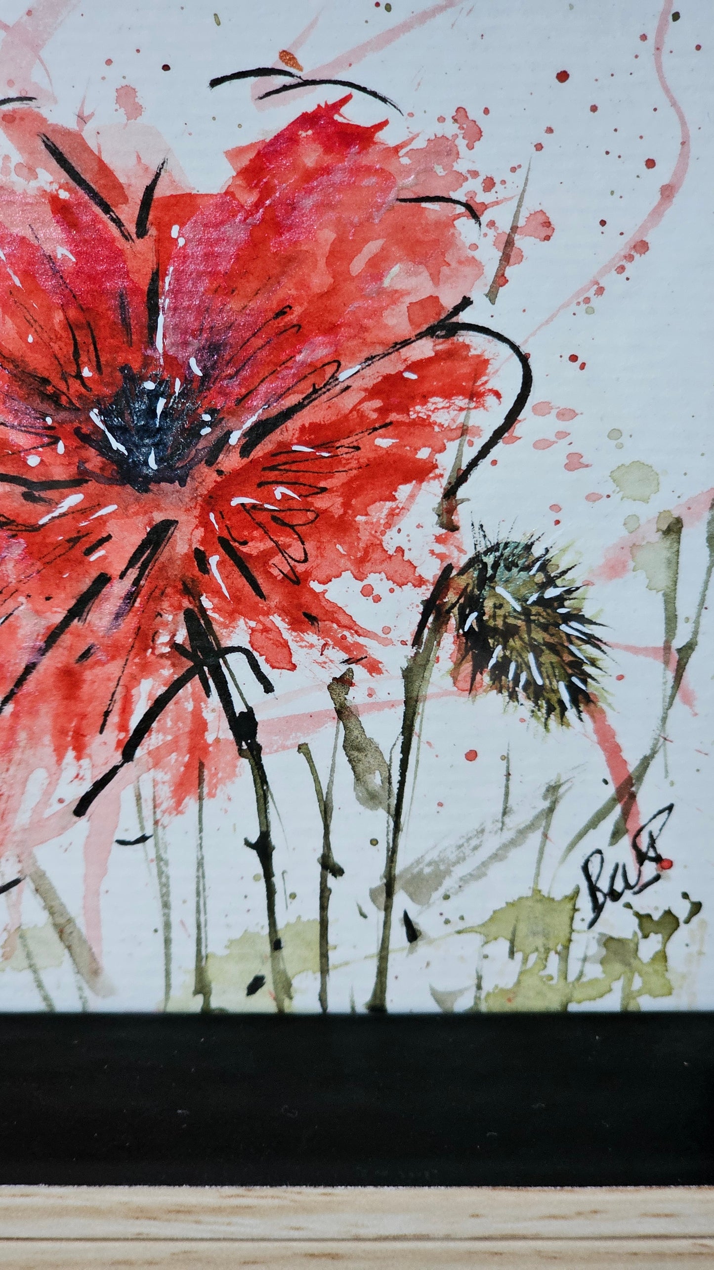 Le coquelicot dans la tempête